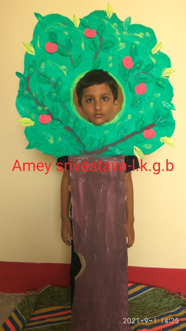  FANCY DRESS COMPETITION-LKG-B